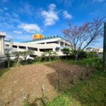 LINE_ALBUM_江洲　追加写真_250215_13